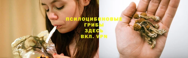 бошки Михайловка