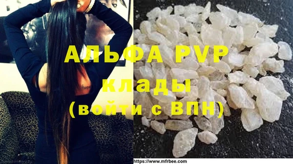 стафф Алзамай